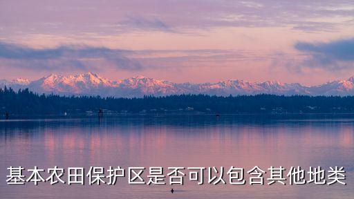 永久基本農(nóng)田，全域永久久基本農(nóng)田劃定是什么意思