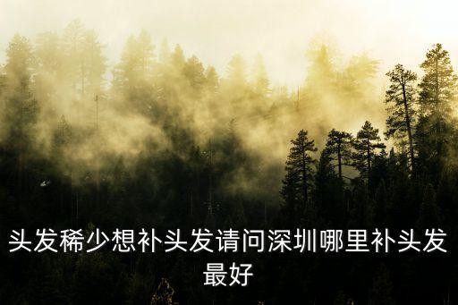 深圳補(bǔ)發(fā)，頭發(fā)稀少想補(bǔ)頭發(fā)請問深圳哪里補(bǔ)頭發(fā)最好