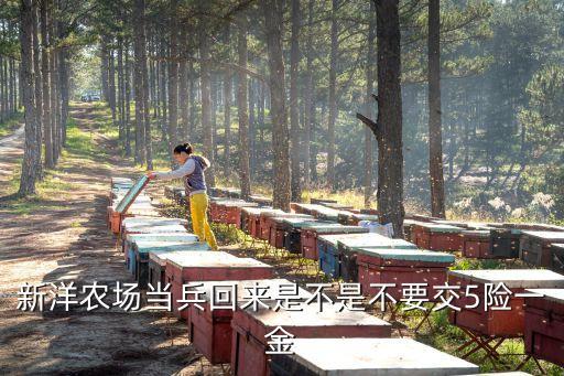 新洋農場當兵回來是不是不要交5險一金