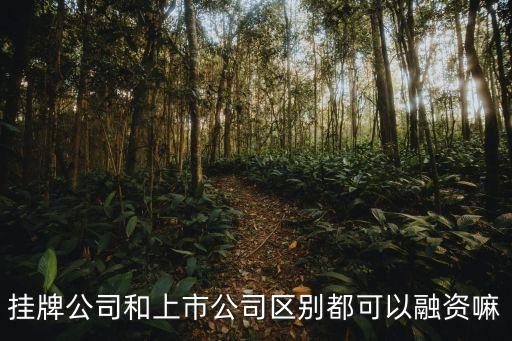 隨售權(quán)，股票里的掛牌公司有那些風(fēng)險(xiǎn)