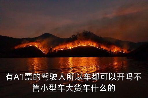 有A1票的駕駛?cè)怂攒嚩伎梢蚤_嗎不管小型車大貨車什么的