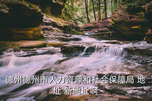 德州社保局官網(wǎng)，德州人力資源和社會(huì)保障局在哪啊坐幾路公交車(chē)可以到xiexiela