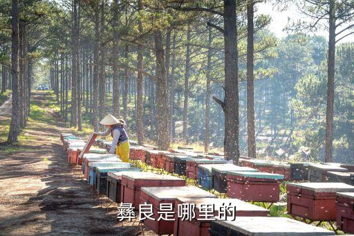 彝良縣屬于哪個市，彝良在那里