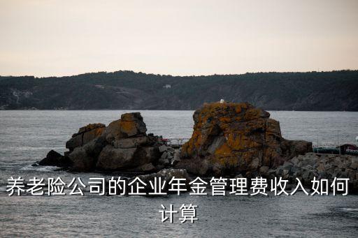 企業(yè)年金基金費用，企業(yè)年金的主要內(nèi)容