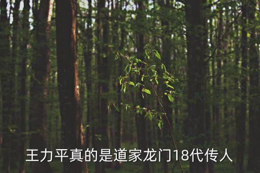 王力平真的是道家龍門18代傳人