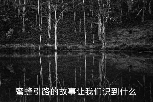 蜜蜂引路，蜜蜂引路的故事讓我們識到什么