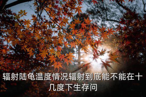 輻射陸龜溫度情況輻射到底能不能在十幾度下生存問