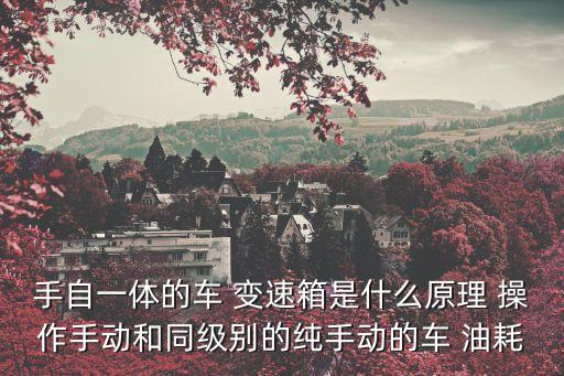 手自一體是什么，汽車變速箱手自一體和雙離合有什么區(qū)別