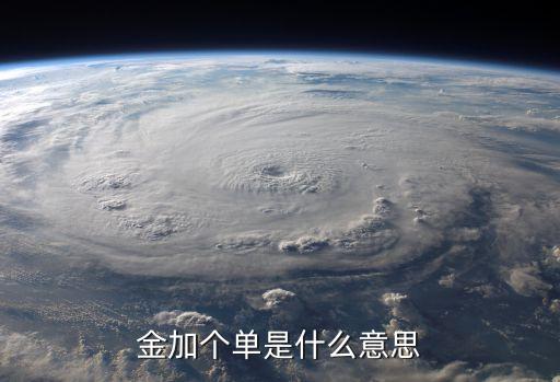 金單，淘寶里面的本金單是什么意思啊