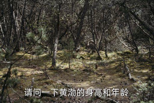 請問一下黃渤的身高和年齡