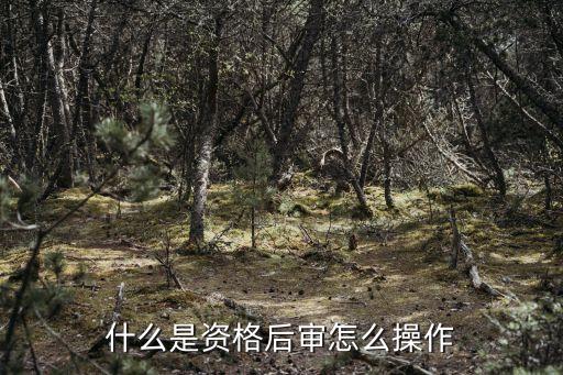 什么是資格后審怎么操作