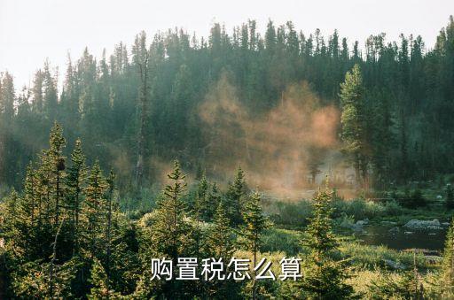 購置稅怎么算