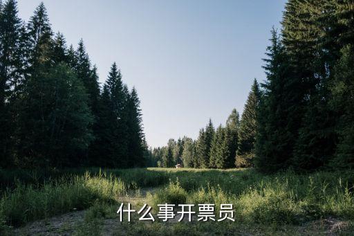 開票員，開票員是干嗎的