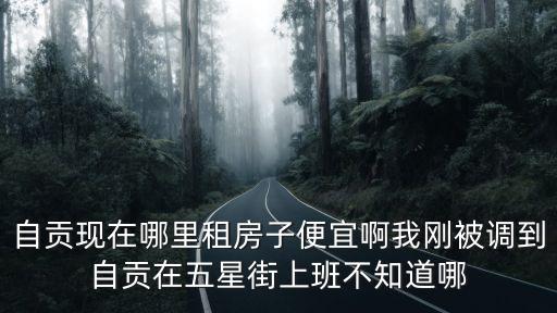 自貢現(xiàn)在哪里租房子便宜啊我剛被調(diào)到自貢在五星街上班不知道哪