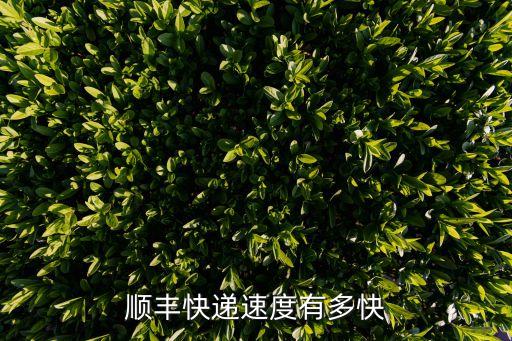 順豐快遞速度有多快