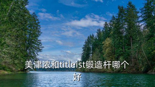 titleist，titleist 913D2913D3有什么區(qū)別