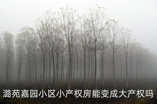 潞苑嘉園小區(qū)小產(chǎn)權(quán)房能變成大產(chǎn)權(quán)嗎