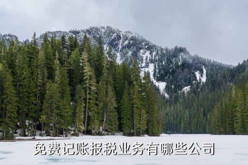 免費(fèi)記賬報稅業(yè)務(wù)有哪些公司