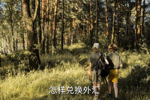 換外匯，怎樣兌換外匯