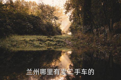 蘭州哪里有賣二手車的