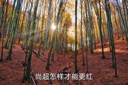尚超怎樣才能更紅