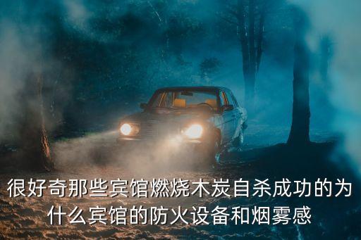 燒碳自殺，請(qǐng)問大家什么叫炭火自殺謝謝