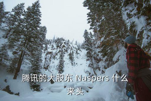 騰訊的大股東 Naspers 什么來頭