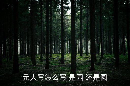 元大寫怎么寫 是園 還是圓