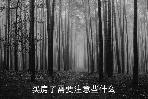 買房需要注意什么，買房子需要注意些什么