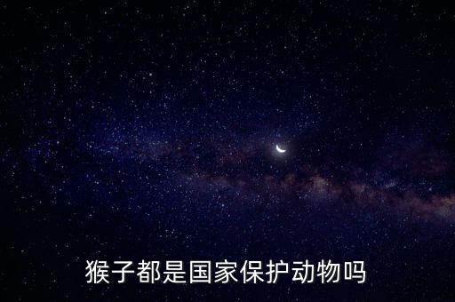 猴子都是國家保護動物嗎