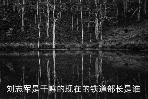 鐵道部劉志軍，鐵道部部長(zhǎng)劉志軍的年齡是多少