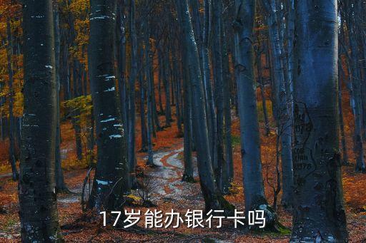17歲可以辦銀行卡嗎，17歲能辦銀行卡嗎
