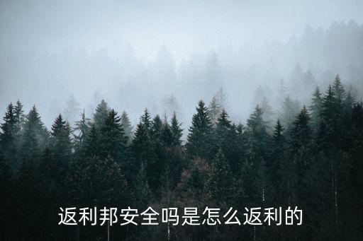 返利邦，怎么用淘寶登陸返利邦