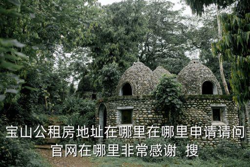 寶山公租房地址在哪里在哪里申請(qǐng)請(qǐng)問官網(wǎng)在哪里非常感謝  搜