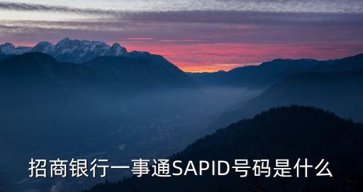 招商銀行一事通SAPID號(hào)碼是什么