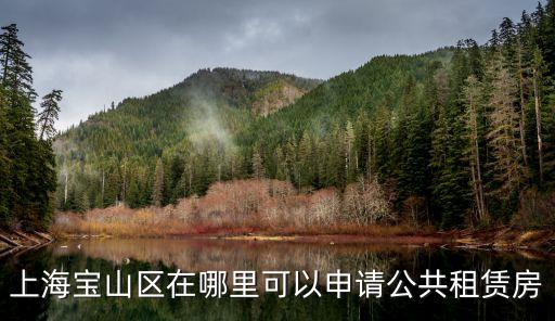 上海寶山區(qū)在哪里可以申請(qǐng)公共租賃房