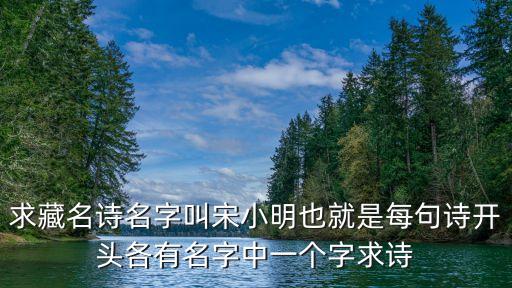宋小明，你是這樣的人 宋小明這首歌謳歌的主人公是誰
