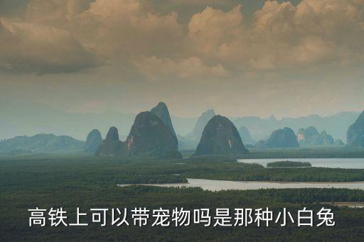 高鐵上可以帶寵物嗎是那種小白兔