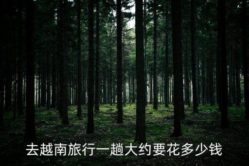 去越南旅行一趟大約要花多少錢