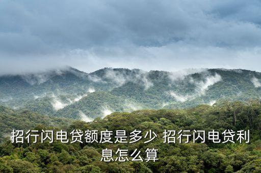 招商閃電貸，招商銀行的閃電貸 是怎么辦理的