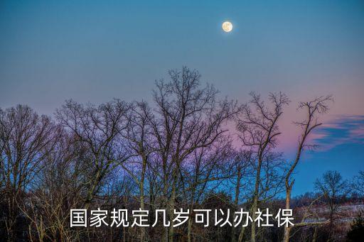 國家規(guī)定幾歲可以辦社保