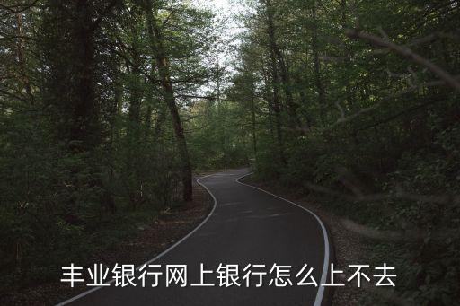 豐業(yè)銀行網(wǎng)上銀行怎么上不去
