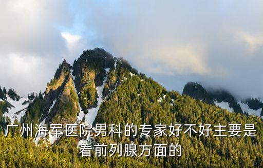 張玉亮，廣州海軍醫(yī)院男科的專家好不好主要是看前列腺方面的