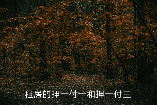 押一付一什么意思，租房子押一付一是什么意思