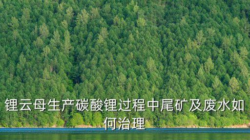 鋰云母生產(chǎn)碳酸鋰過程中尾礦及廢水如何治理