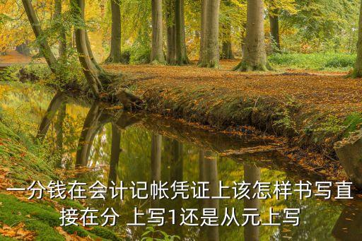 一分錢在會計記帳憑證上該怎樣書寫直接在分 上寫1還是從元上寫