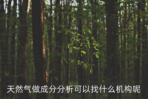 天然氣檢測機構，天然氣做成分分析可以找什么機構呢