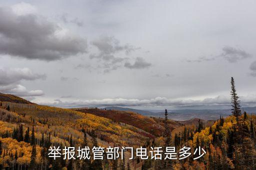 舉報城管部門電話是多少