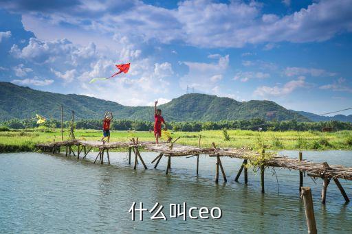 什么叫ceo