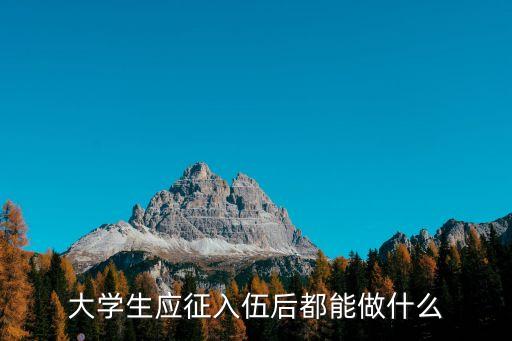 大學(xué)生應(yīng)征入伍后都能做什么